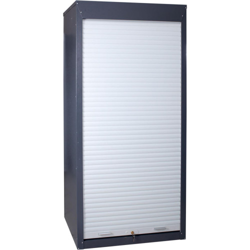 Шафа інструментальна ролетна ШІ-10/2П/5В Р